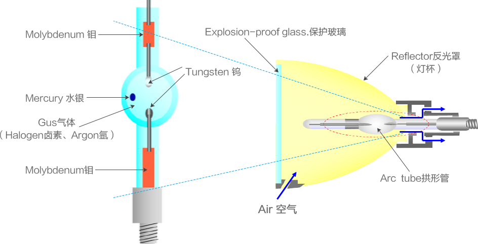 bulbStructure.png